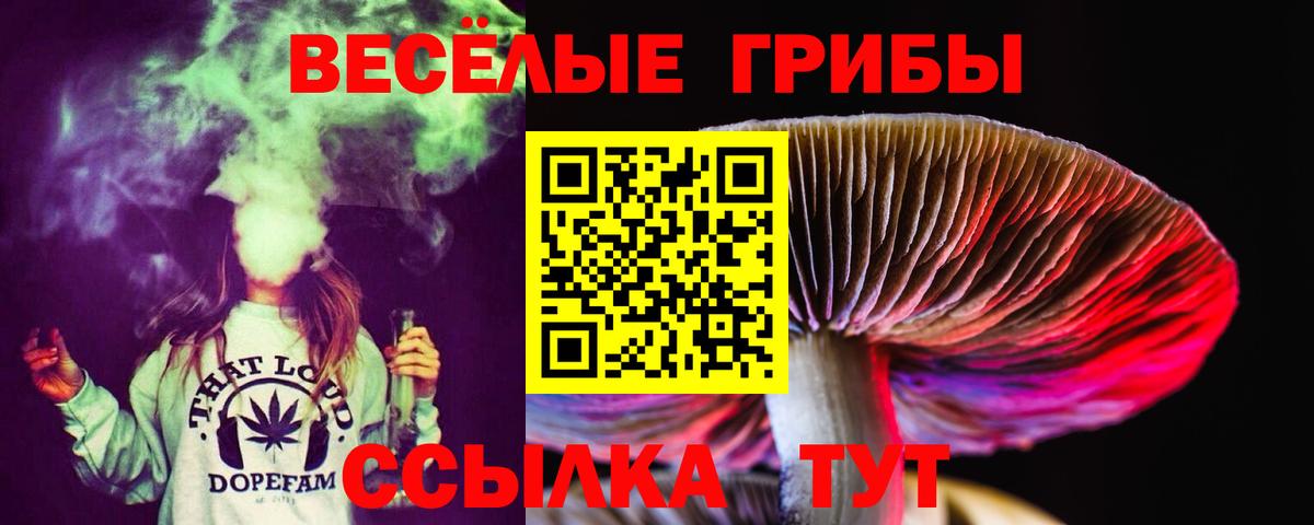 Псилоцибиновые грибы MAGIC MUSHROOMS  Вход с VPN  Пенза 