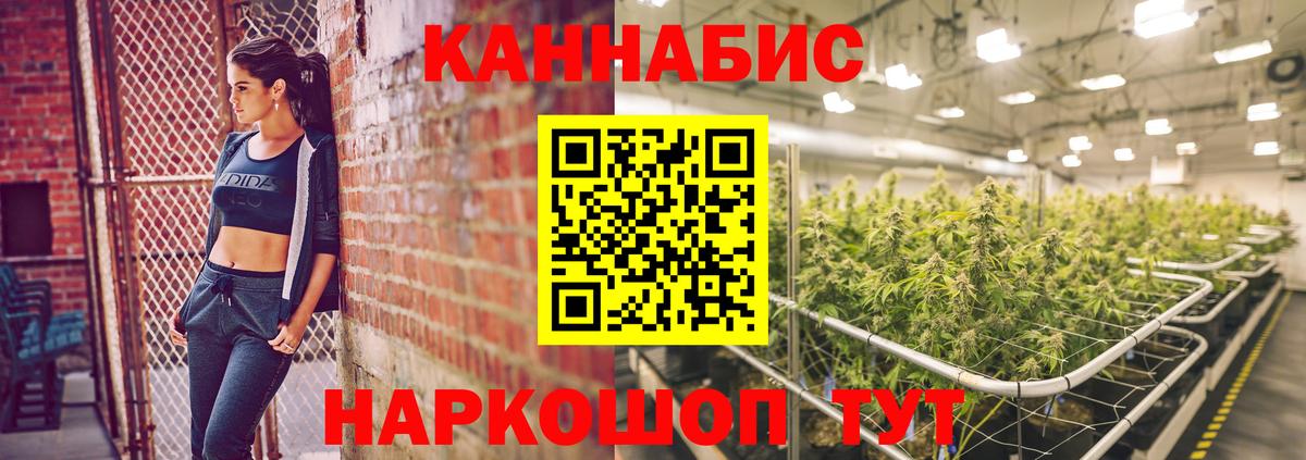 Бошки марихуана конопля  Канабис VHQ  Вход с VPN  Бошки марихуана планчик  Пенза  Шишки марихуана семена 